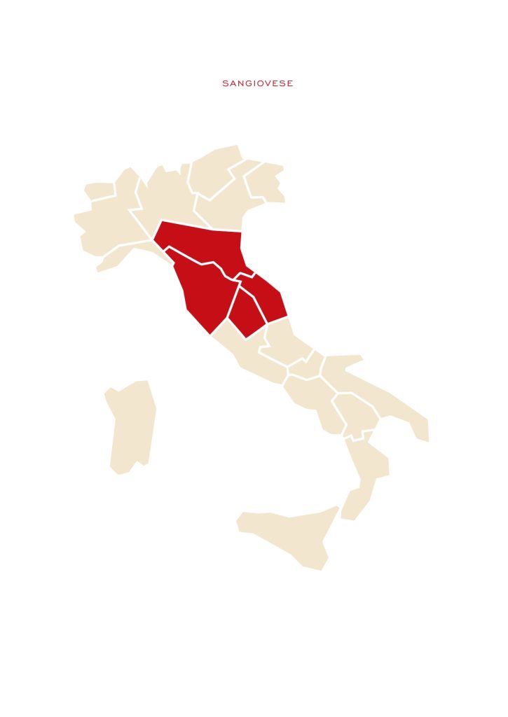 Regioni di vinificazione del vitigno Sangiovese